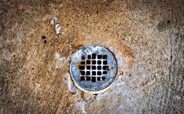 https://blockeddrainsclaremont.com.au/uploads/2025/07/blocked-shower-drains-20432.jpg