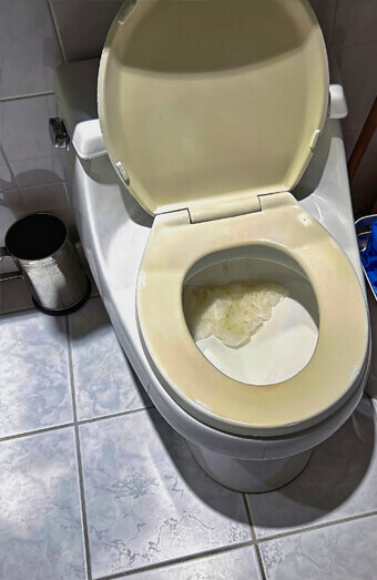https://blockeddrainsclaremont.com.au/uploads/2025/07/blocked-toilet-27293.jpg